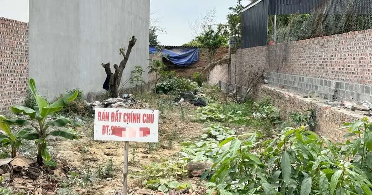 Đề xuất bỏ sổ hồng bằng giấy
