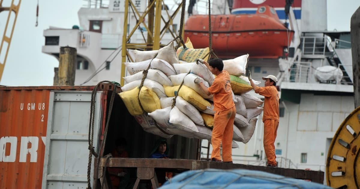 Giá gạo Việt Nam giảm gần 19%